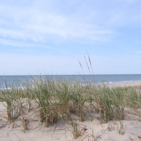 southampton village beach