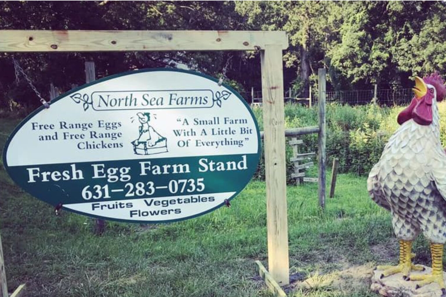 north sea farm stand