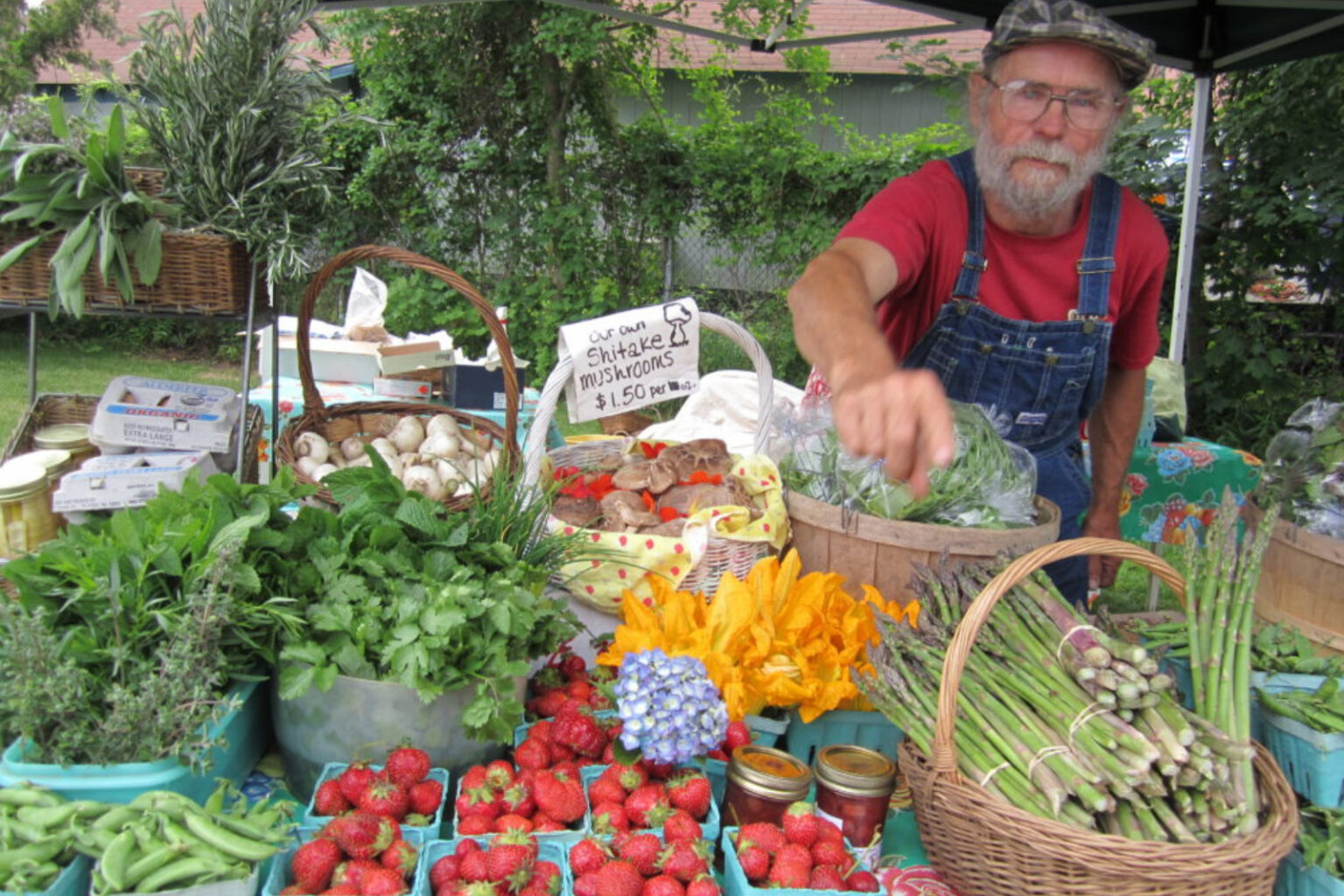 sag harbor farmers market
